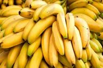 اینفوگرافی؛ بزرگ‌ترین تولیدکنندگان موز در جهان؛ جایگاه ایران 