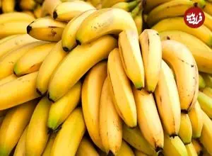 اینفوگرافی؛ بزرگ‌ترین تولیدکنندگان موز در جهان؛ جایگاه ایران 