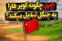 (ویدئو) پروژه شگفتی ساز چینی ها برای تبدیل کویرهای این کشور به جنگل
