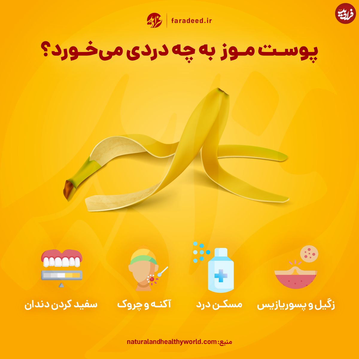 اینفوگرافی/ پوست موز به چه دردی میخورد؟
