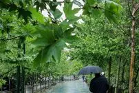هواشناسی ایران، امروز ۱۴۰۱/۰۲/۱۰