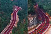 ببینید؛ جاده‌ای که عمداً قرمز شد تا جان ببرها را نجات دهد!