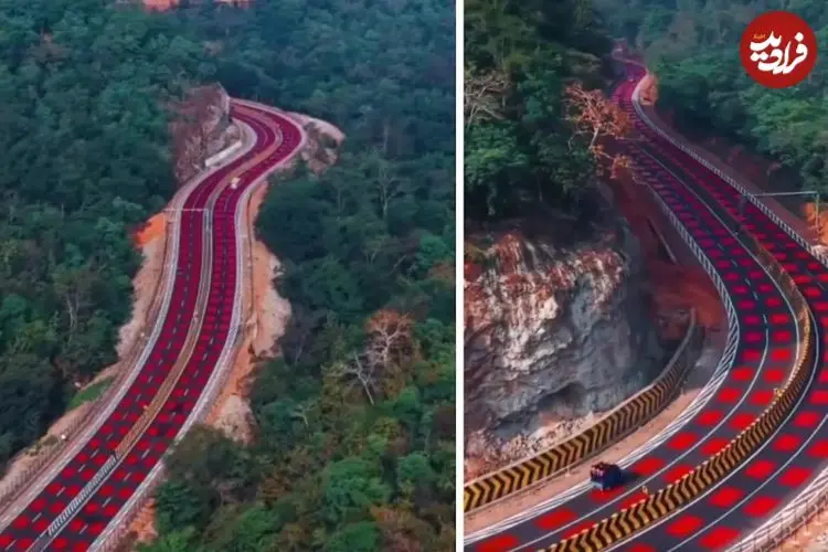ببینید؛ جاده‌ای که عمداً قرمز شد تا جان ببرها را نجات دهد!