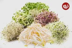 راهنمای کامل خواص «دانه‌ها» برای سلامتی