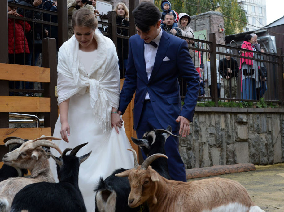 تصاویر/ جشن ازدواج در باغ وحش