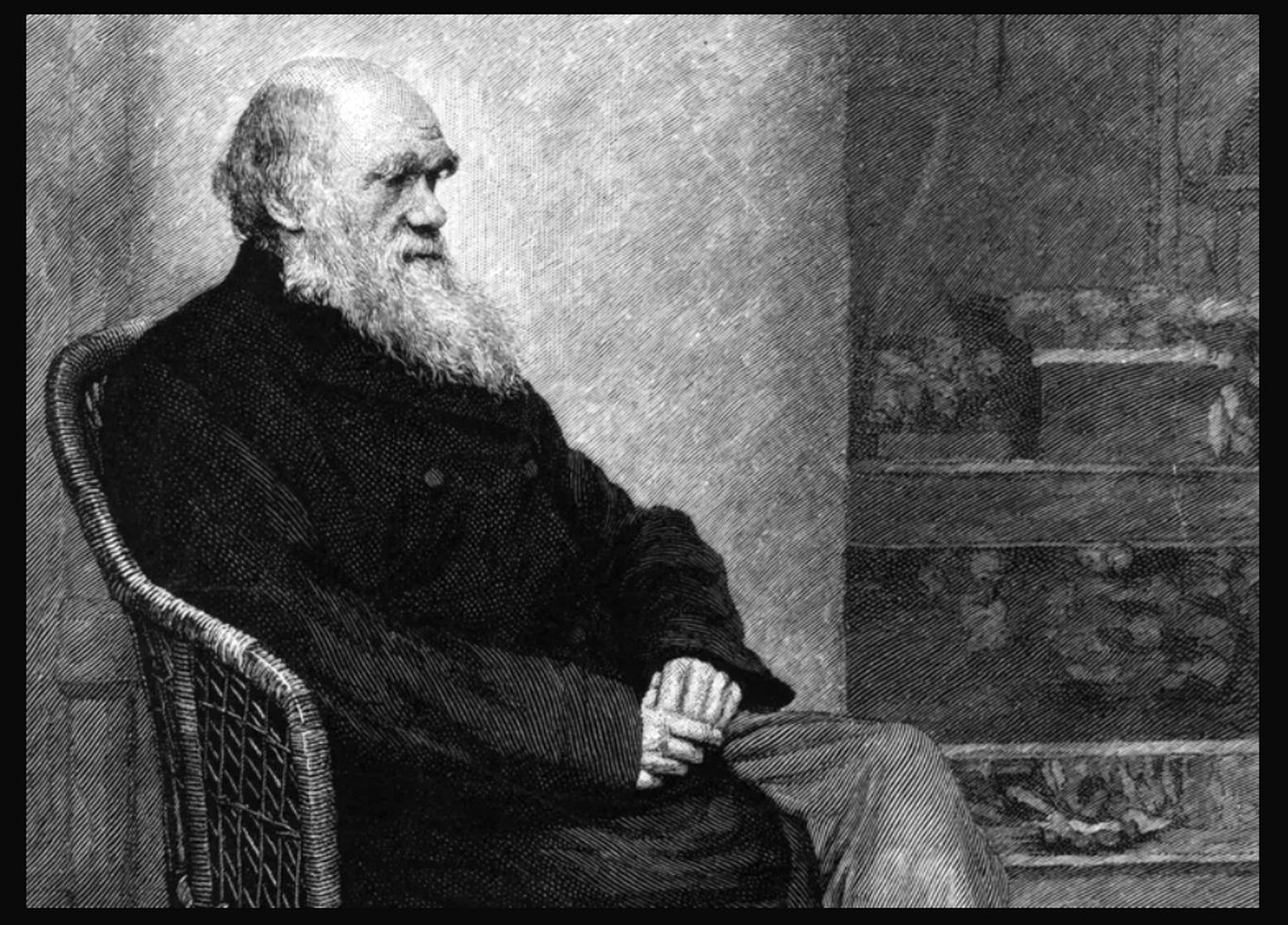 ۷ حقیقت جالب درباره «داروین» که هرگز نمی‌دانستید!
