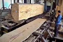 ببینید| فرآیند تولید انبوه میز ناهارخوری با چوب درخت کاج در کره جنوبی