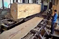 ببینید| فرآیند تولید انبوه میز ناهارخوری با چوب درخت کاج در کره جنوبی
