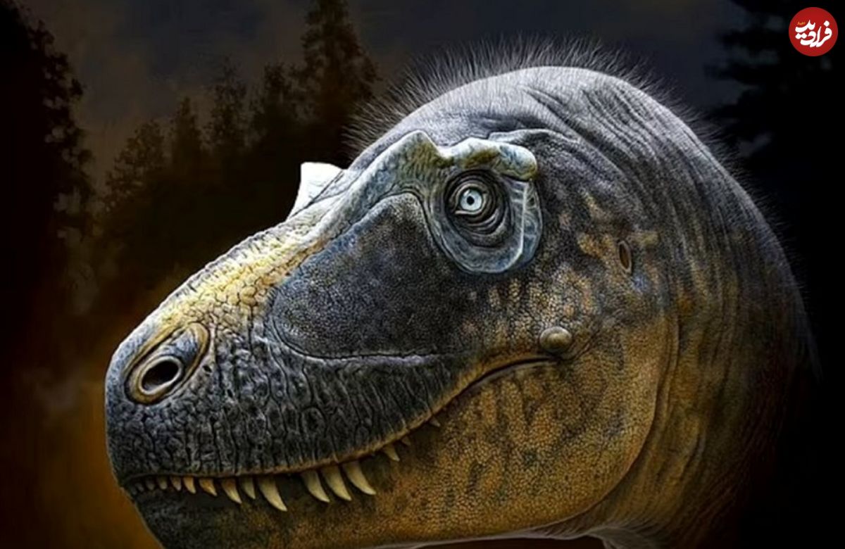 (تصاویر) کشف شگفت انگیز اولین دایناسور تی رکس شاخ دار!