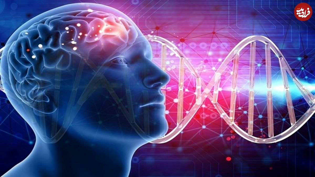 آیا هوش ژنتیکی است؟