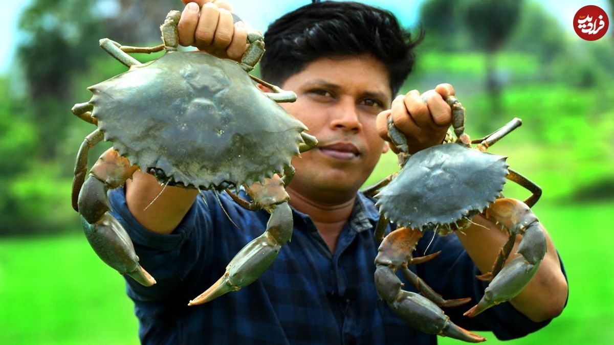 ببینید؛ غذای روستایی در هند؛ پخت یک غذای متفاوت با 1.5 کیلو خرچنگ در طبیعت