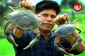 ببینید؛ غذای روستایی در هند؛ پخت یک غذای متفاوت با 1.5 کیلو خرچنگ در طبیعت