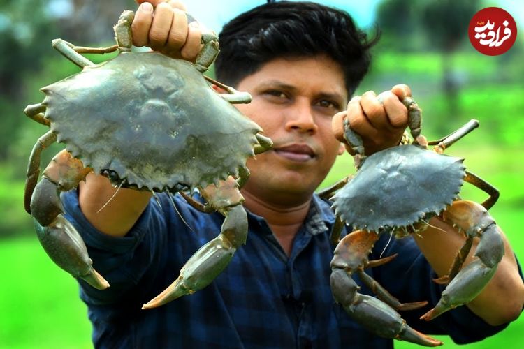 ببینید؛ غذای روستایی در هند؛ پخت یک غذای متفاوت با 1.5 کیلو خرچنگ در طبیعت