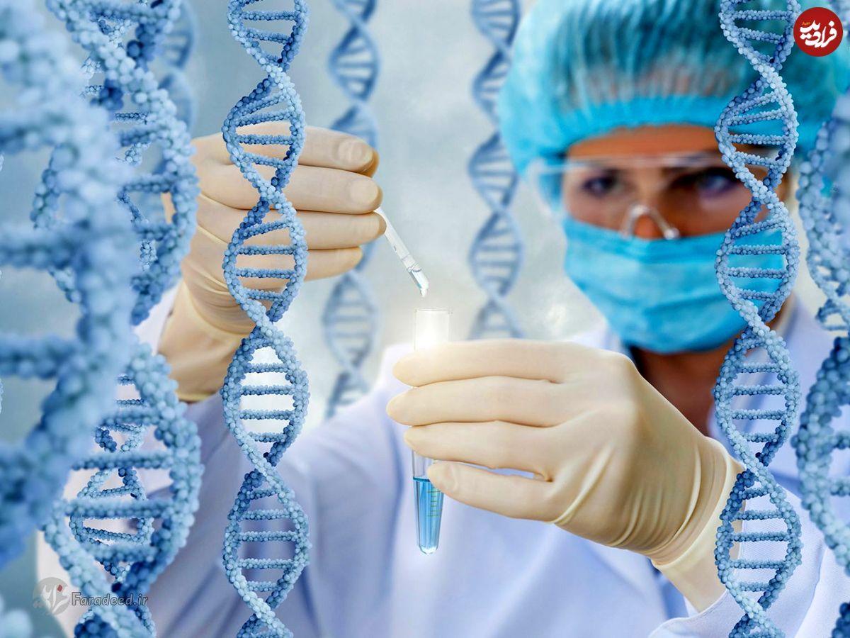 سیستم تولیدمثل زنان اسپرمهای نامطلوب را وجین میکند