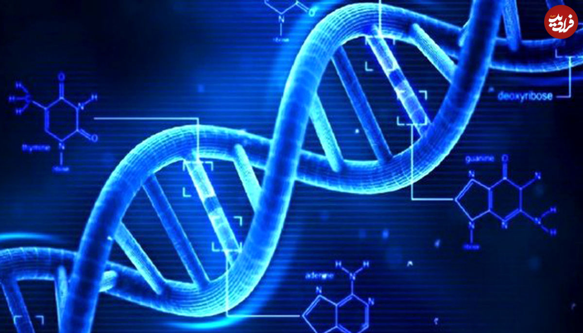 انجماد، میزان متیلاسیون DNA در اسپرم را کاهش می‌دهد