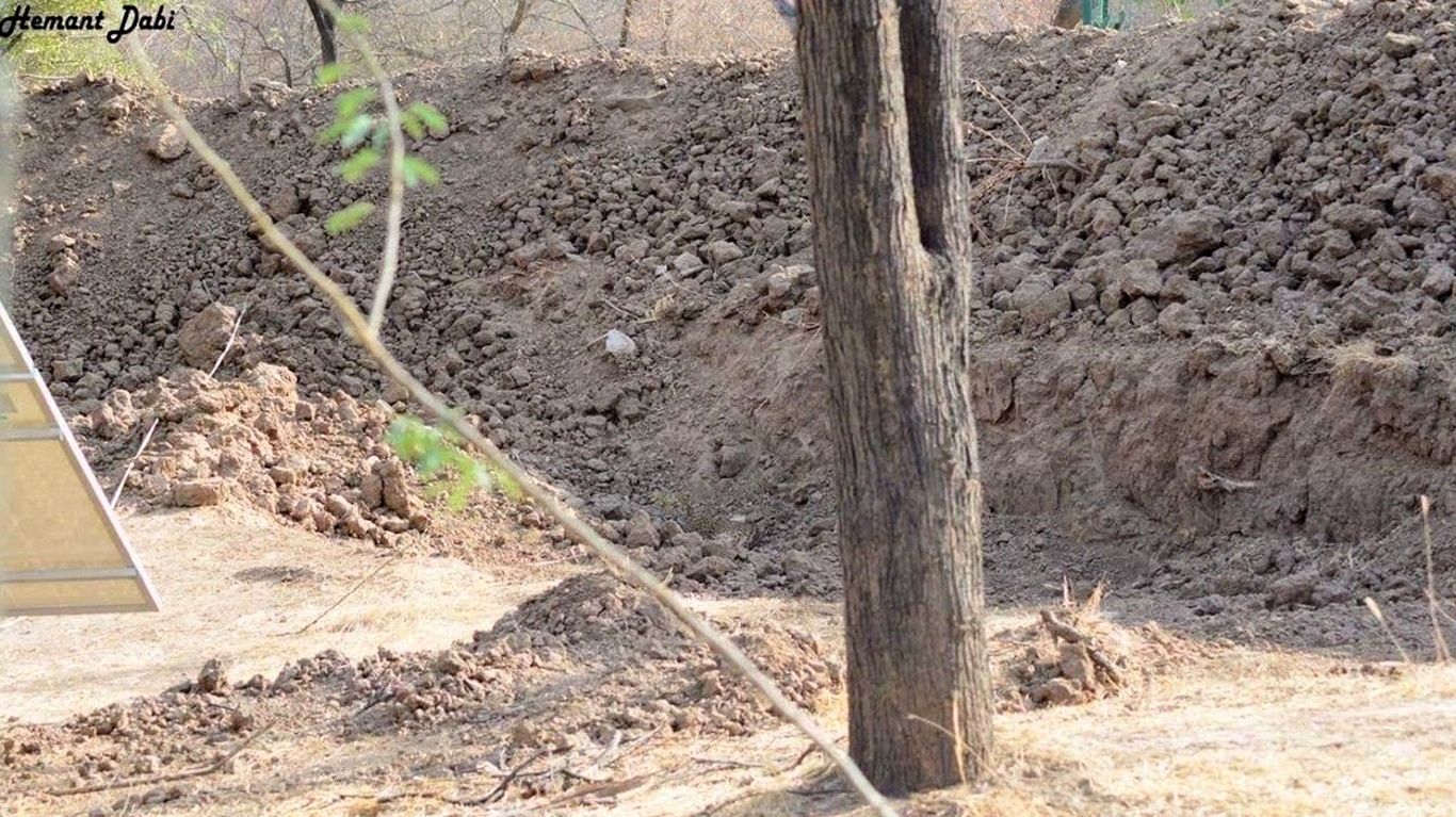 معمای چالش برانگیز؛ اگر هوش بالایی دارید، پلنگ پنهان شده در تصویر را در ۸ ثانیه پیدا کنید!