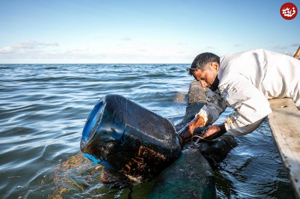 نشت نفت در جزیره موریس، نگرانی برای آبزیان
