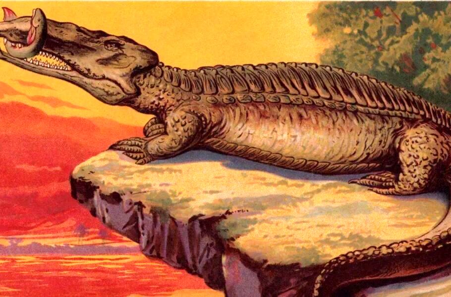 کشف یک تمساح غول‌پیکر ماقبل تاریخ در برزیل 
