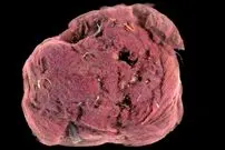 کشف «رنگ تقلبی» 2 هزارساله مربوط به دوران روم باستان