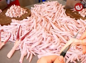 ببینید؛ غذای خیابانی در تایوان؛ پخت یک غذای سنتی با پای مرغ در تایپه