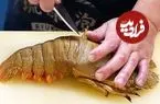 ببینید| غذای خیابانی در ژاپن؛ تهیه دو مدل غذا با لابستر بالمین در اوکیناوا