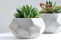 تصاویرِ عجیب‌ترین دزدی زنانه در کمال خونسردی!
