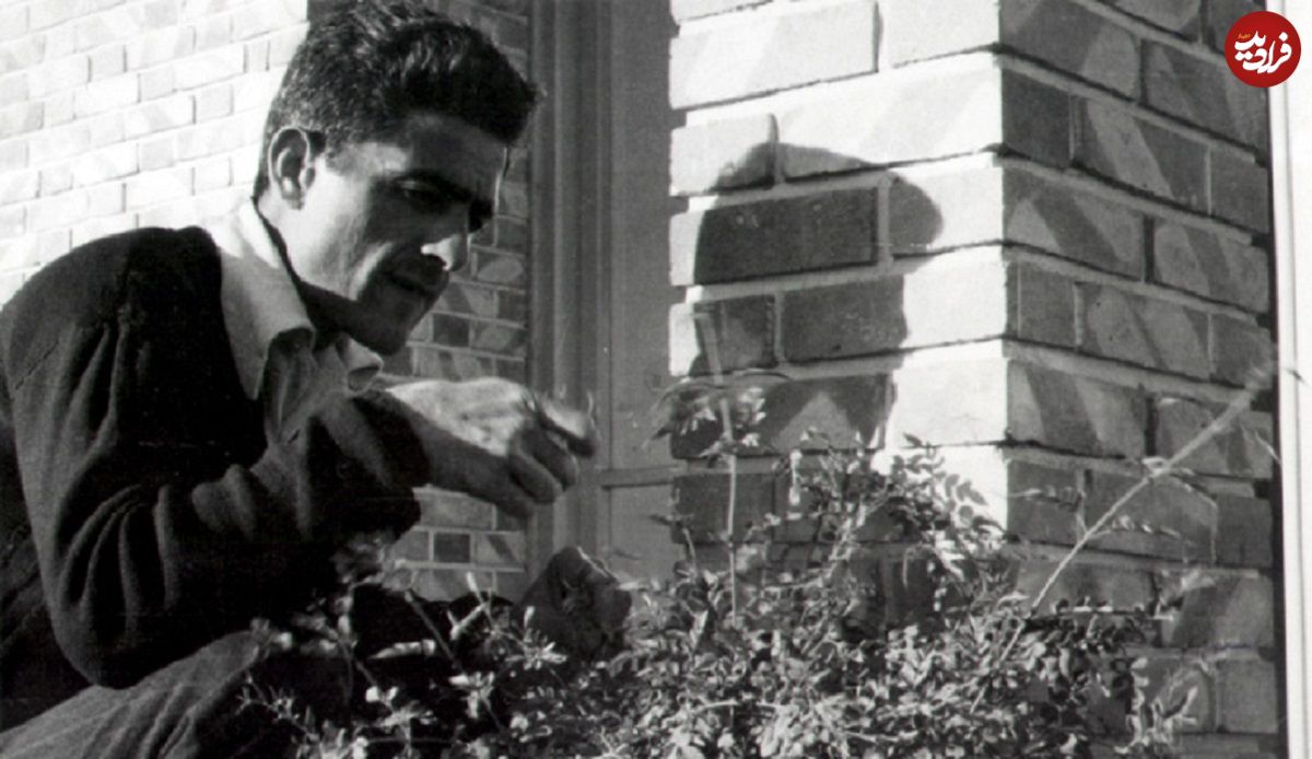 عکس؛ سفر در زمان؛ «جلال آل احمد در مراسم عروسی خواهرزاه اش مهدی آل احمد»؛ دهه 40