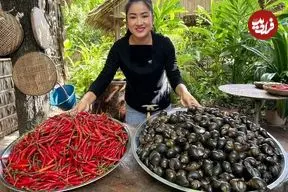 ببینید| غذای روستایی در کامبوج؛ پخت خوراک با حلزون و فلفل قرمز در روستا