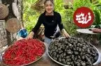 ببینید| غذای روستایی در کامبوج؛ پخت خوراک با حلزون و فلفل قرمز در روستا