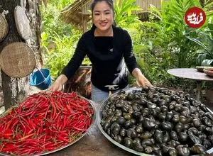 ببینید| غذای روستایی در کامبوج؛ پخت خوراک با حلزون و فلفل قرمز در روستا