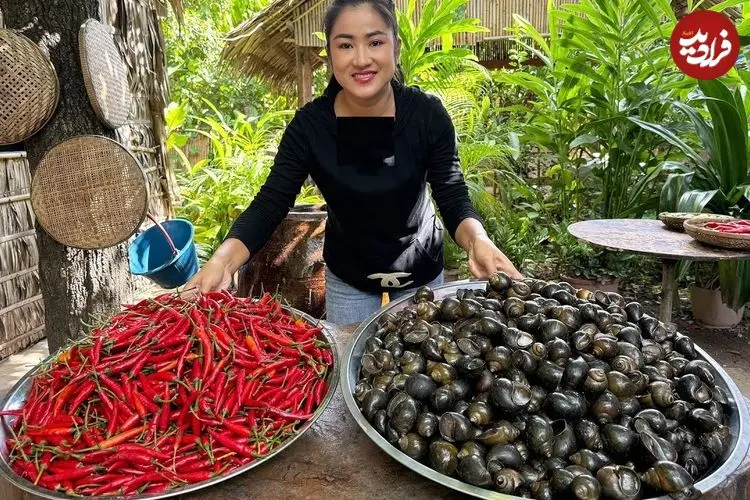 ببینید| غذای روستایی در کامبوج؛ پخت خوراک با حلزون و فلفل قرمز در روستا