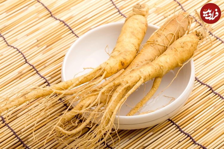 آشنایی با خواص جینسینگ
