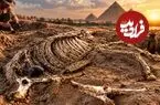 عکس| کشف یک اسب ۳۰۰۰ ساله در مصر که با تشریفات خاصی دفن شده بود!