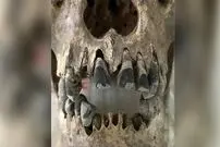 راز جمجمه‌های 2 هزارساله با «دندان‌های سیاه»