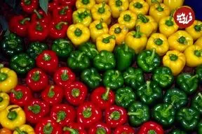 معجزۀ فلفل دلمه‌ای در تامین ویتامین C