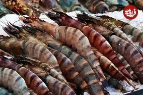 ببینید| غذای خیابانی در تایوان؛ شاه میگوی سوخاری با سس سیر و فلفل تند در تایپه