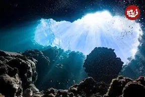 دانشمندان شاخه‌ای جدید از حیات را در اعماق اقیانوس‌ها کشف کردند