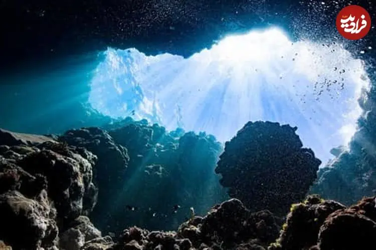 دانشمندان شاخه‌ای جدید از حیات را در اعماق اقیانوس‌ها کشف کردند