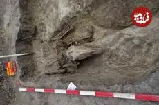 کشف مقبرۀ هزارسالۀ جنگجو و اسبش