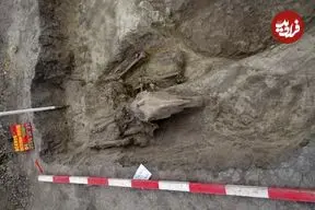 کشف مقبرۀ هزارسالۀ جنگجو و اسبش