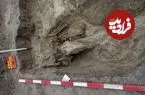 کشف مقبرۀ هزارسالۀ جنگجو و اسبش