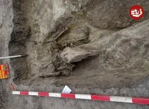 کشف مقبرۀ هزارسالۀ جنگجو و اسبش