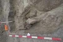 کشف مقبرۀ هزارسالۀ جنگجو و اسبش