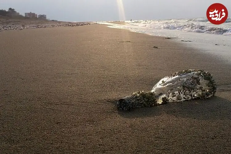 کاهش ۲.۵ متری آب دریای خزر بحرانی خاموش در شمال ایران است