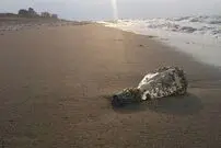 کاهش ۲.۵ متری آب دریای خزر بحرانی خاموش در شمال ایران است