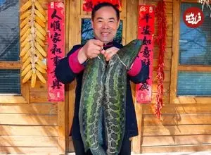 ببینید| غذای روستایی در چین؛ پخت یک غذای سنتی با دو ماهی سرماری