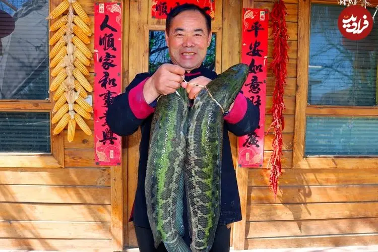 ببینید| غذای روستایی در چین؛ پخت یک غذای سنتی با دو ماهی سرماری