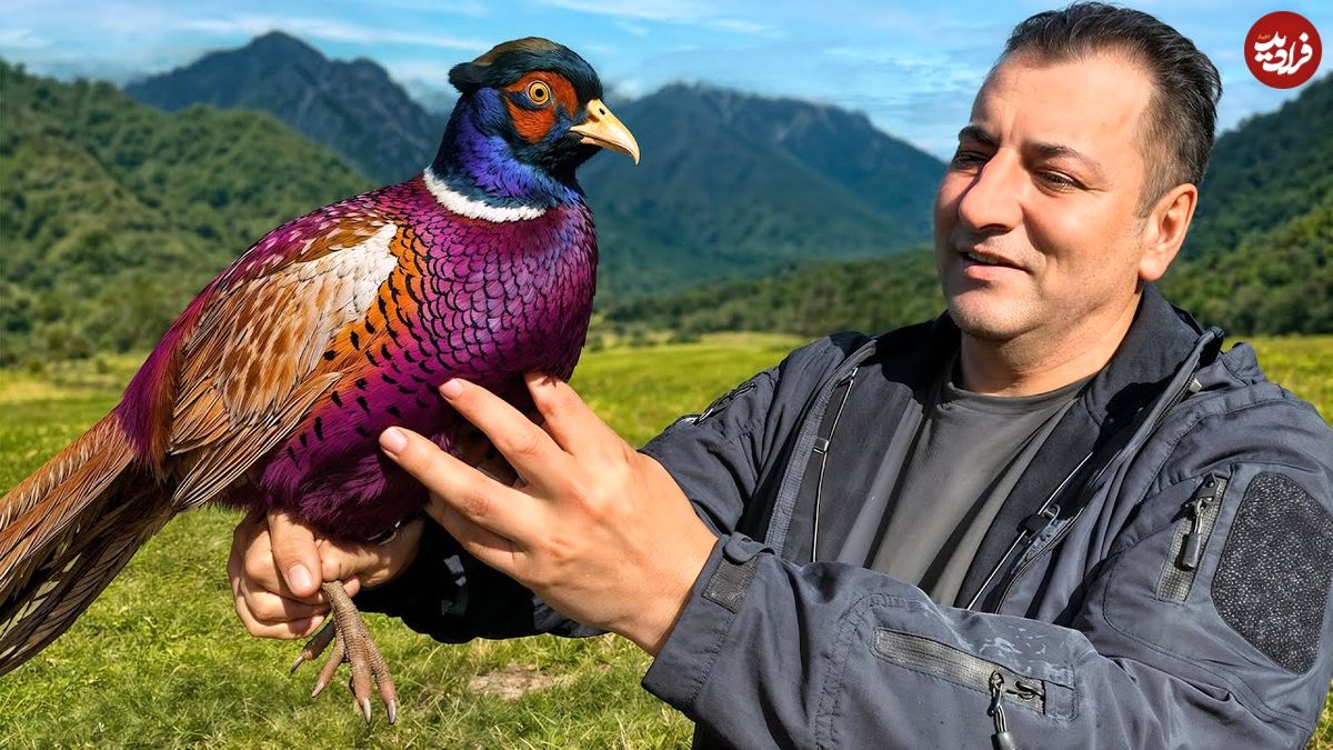 ببینید؛ غذای روستایی در آذربایجان؛ پخت یک غذای اعیانی با قرقاول