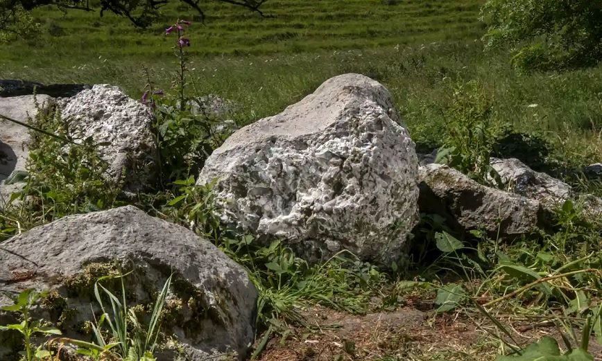  این سنگ که به شکل اتفاقی کشف شد، یک «سمباده» ۵ هزارساله است