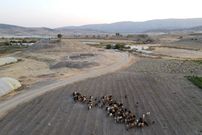 باستان‌شناسان بقایای یک «ساختمان 5 هزارساله» را در کردستان عراق پیدا کردند